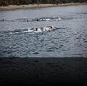 Comen Cup 2009 435